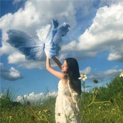 布里斯营